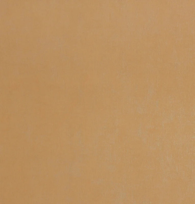 BN Walls Color Stories Cinnamon 218507 Behang