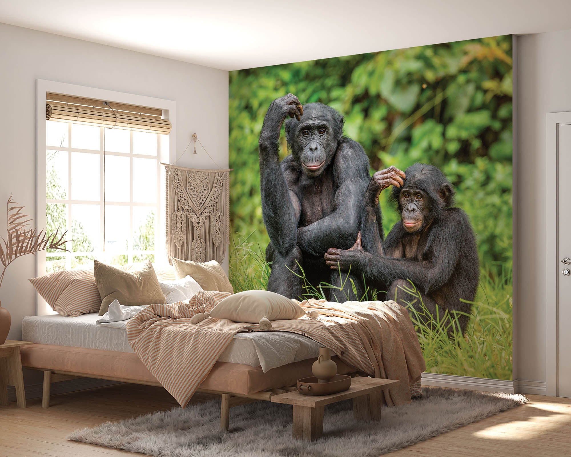 Bonobo aap met jong  - LW00196 Fotobehang