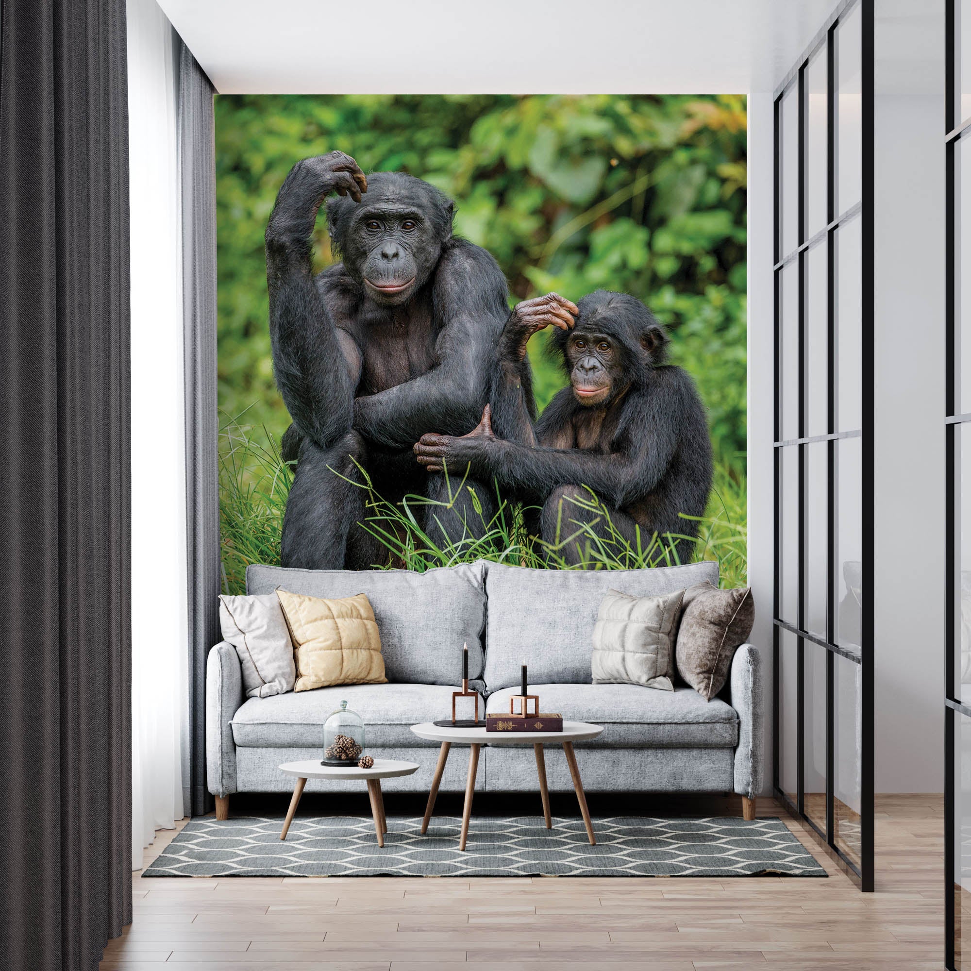 Bonobo aap met jong  - LW00196 Fotobehang