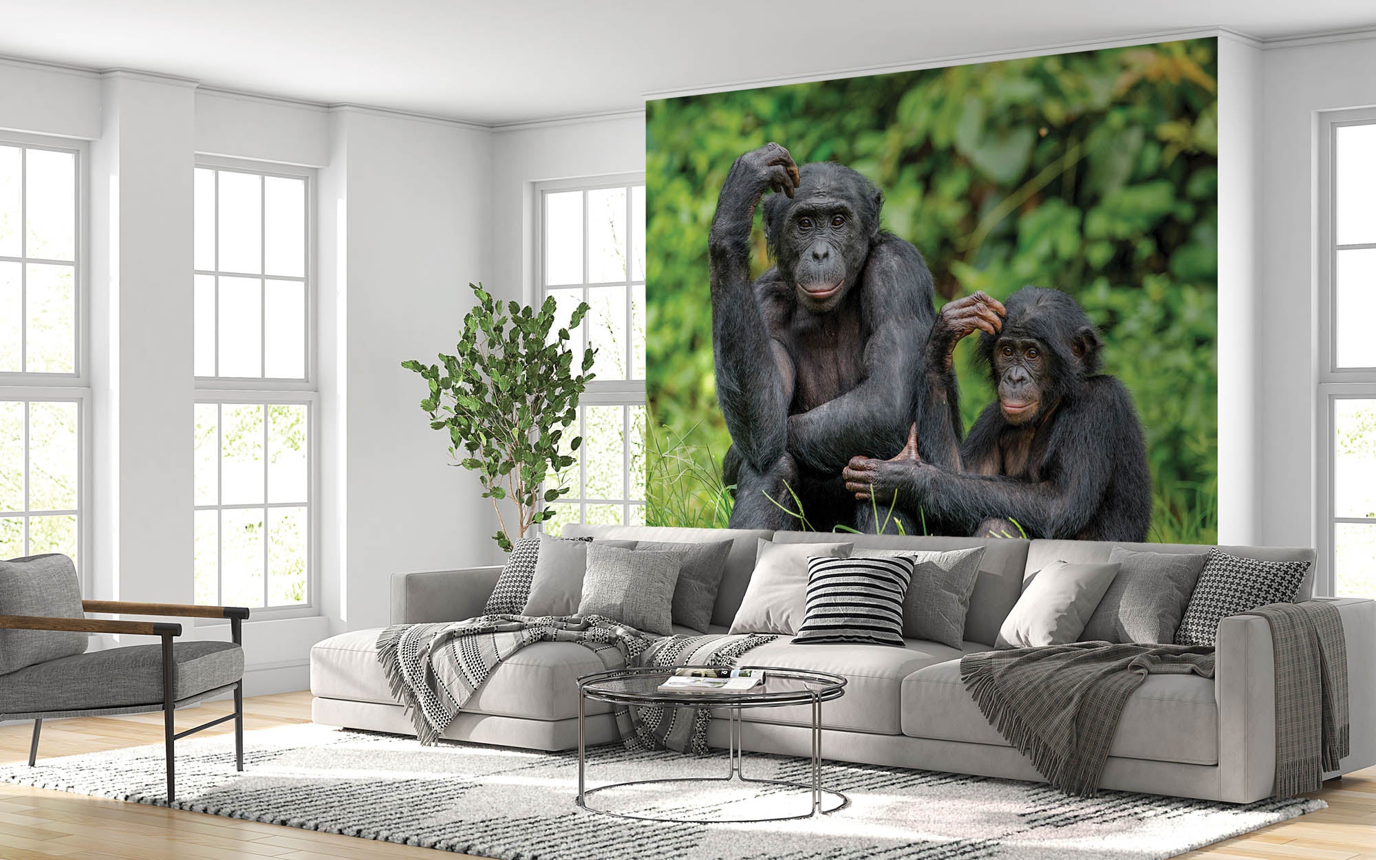 Bonobo aap met jong  - LW00196 Fotobehang