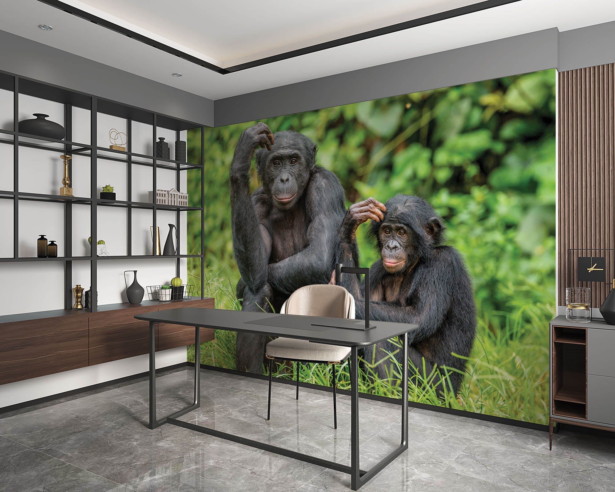 Bonobo aap met jong  - LW00196 Fotobehang