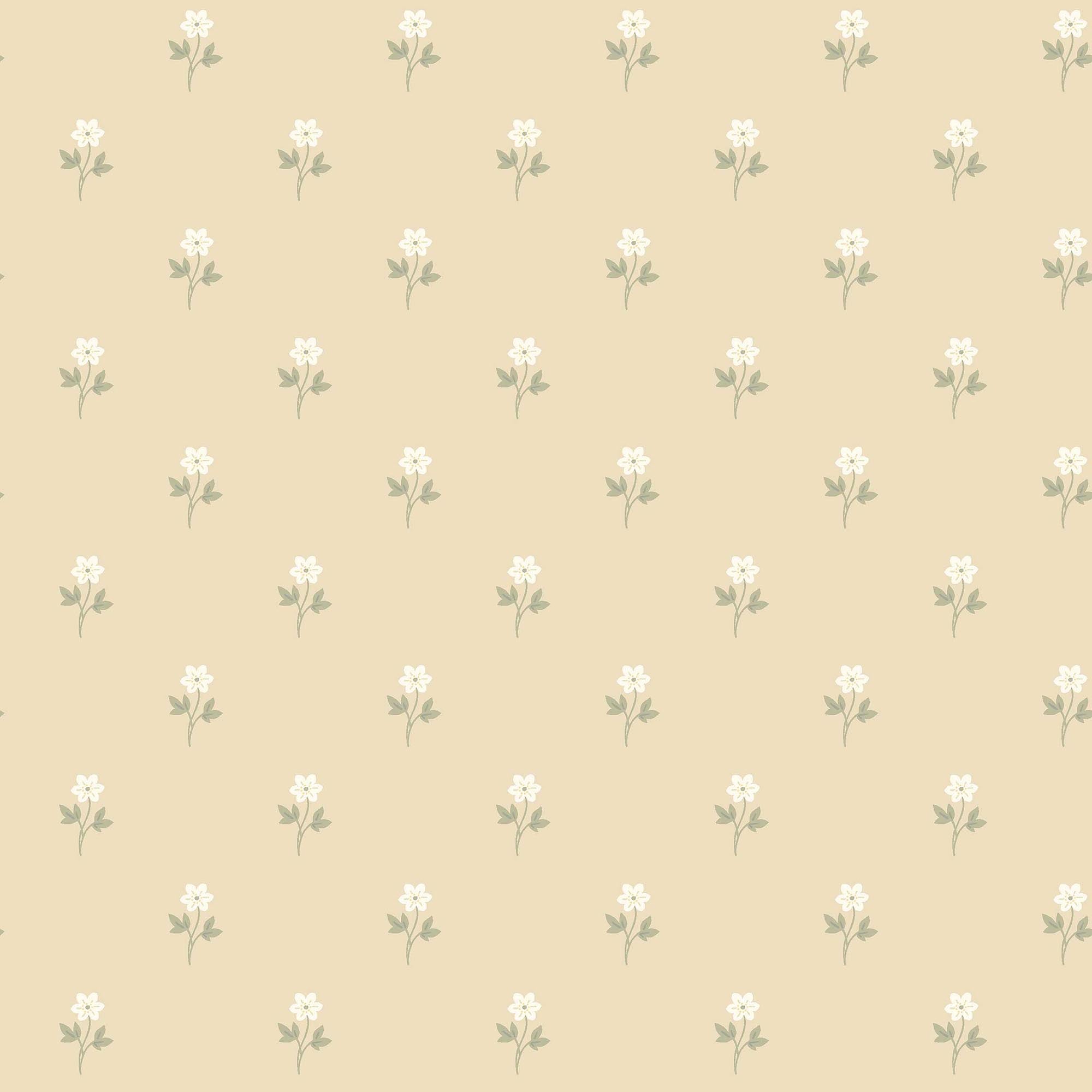 Boråstapeter Österlen Anemone 6972 Behang