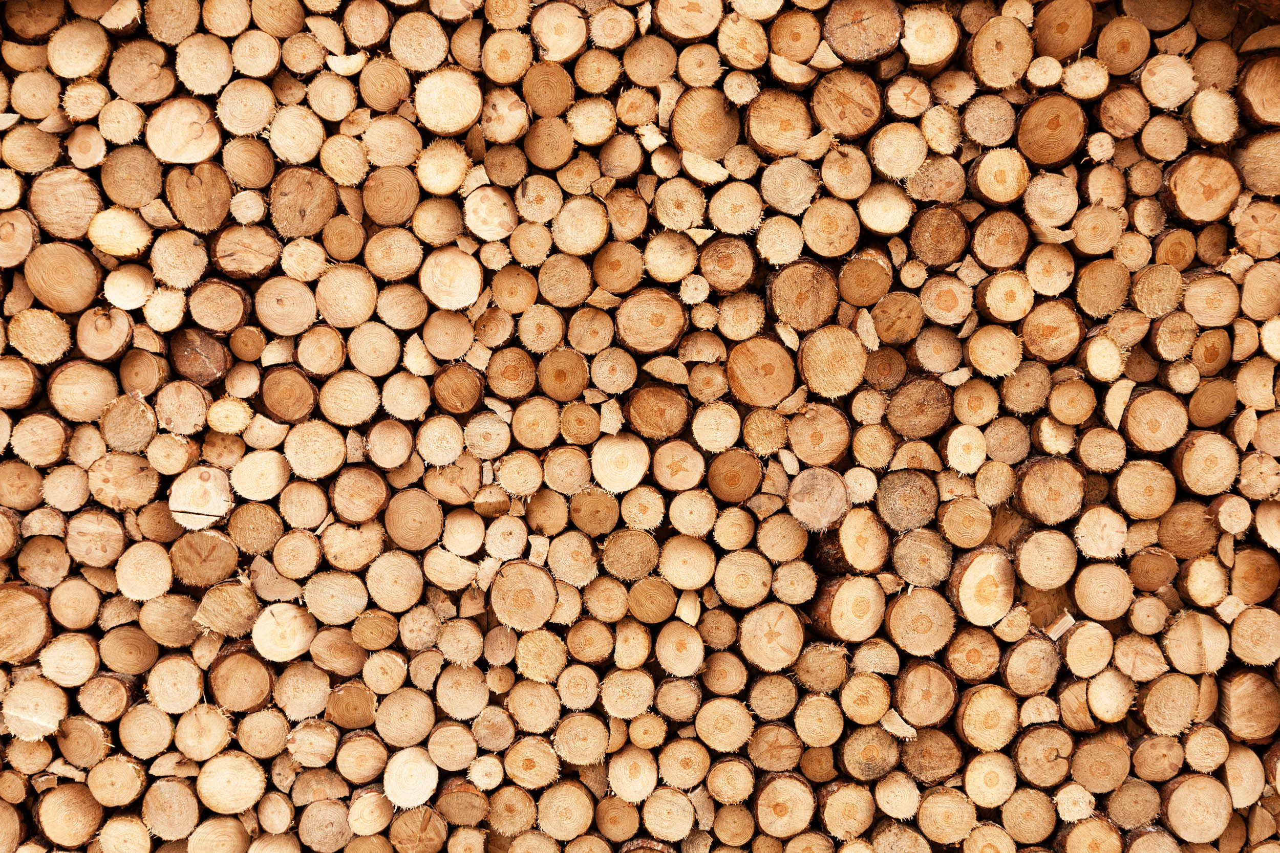 Bos Houtstapel - LW00508