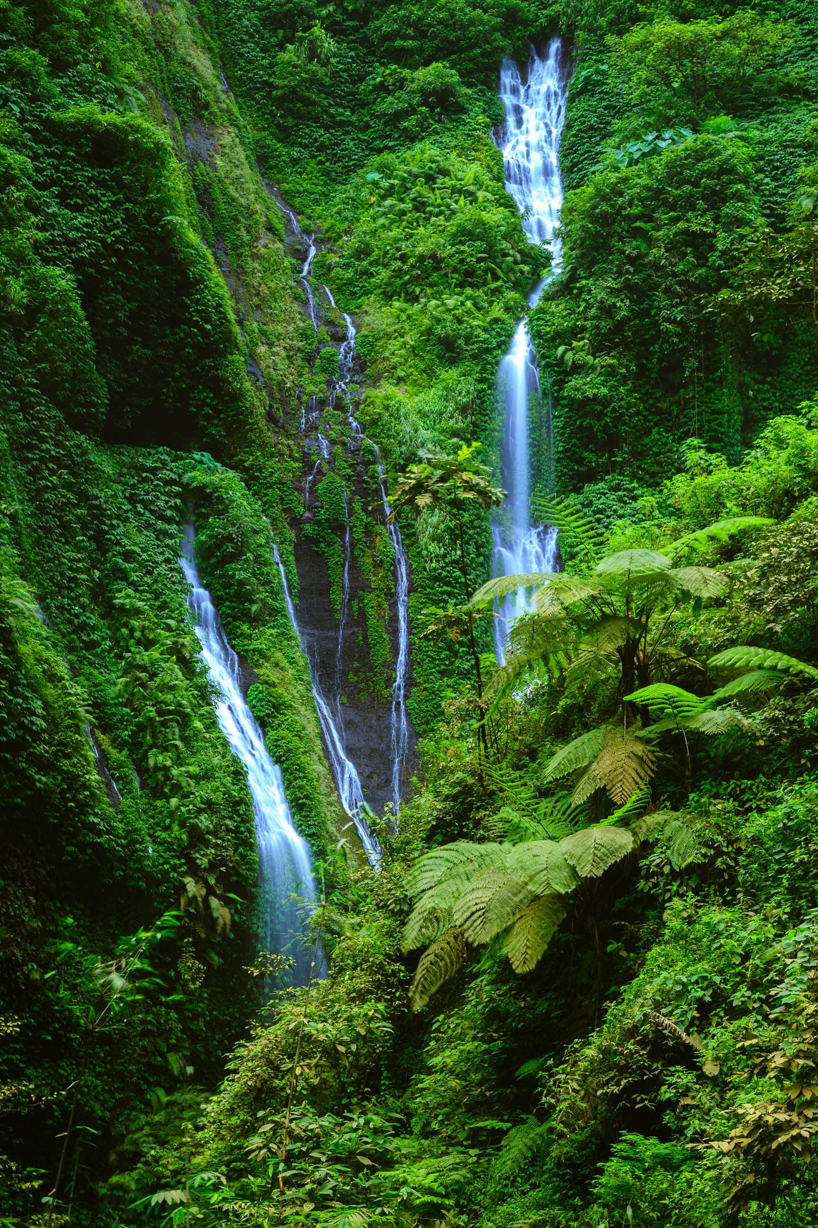 Bos Waterval - LW00685