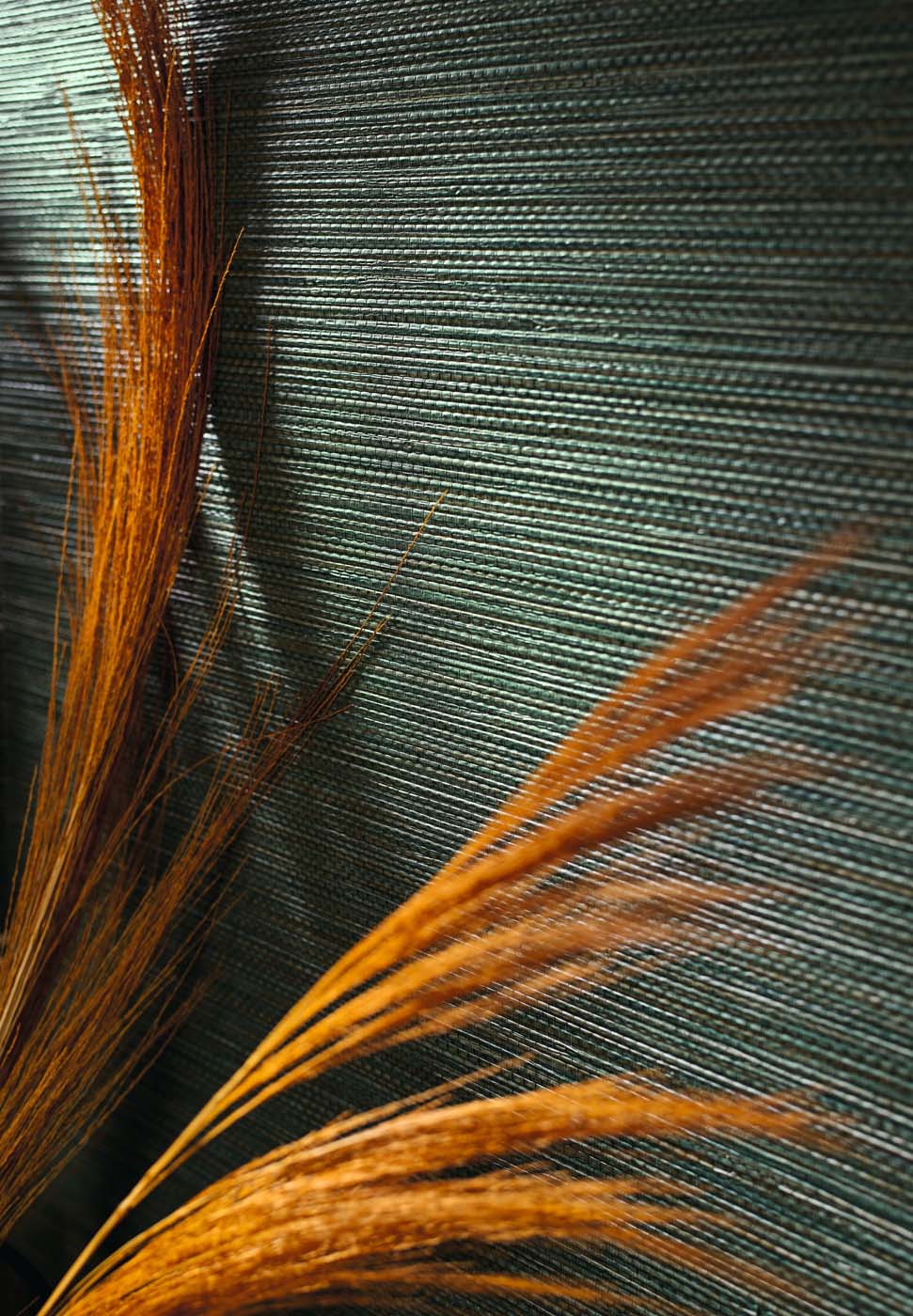 Casamance Select 8 Zostera - A75972344 Behang