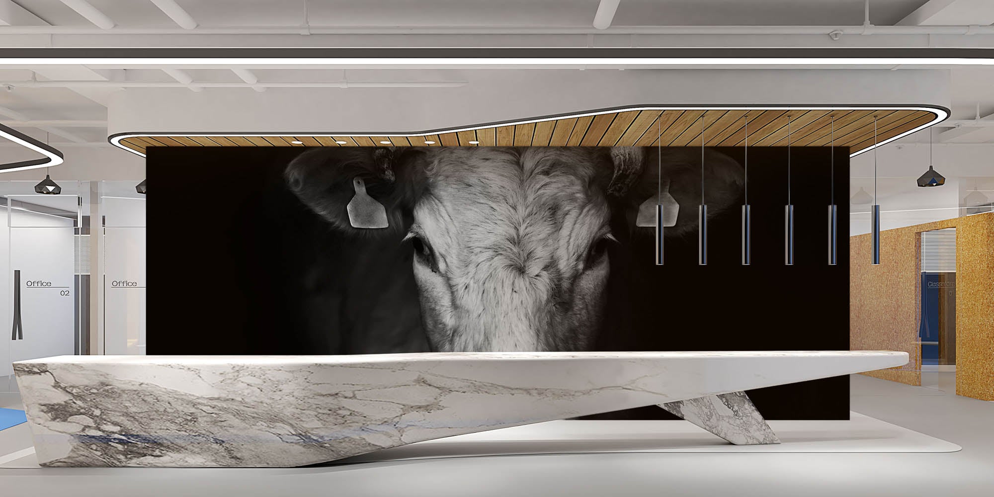 Close-up koe - LW00232 Fotobehang