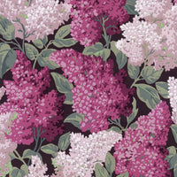 Cole &amp; Son Botanical Lilac Grandiflora 115/15045