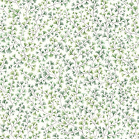 Cole &amp; Son Botanical Maidenhair 115/6018