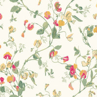 Cole &amp; Son Botanical Sweet Pea 100/6027