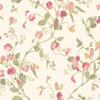 Cole &amp; Son Botanical Sweet Pea 100/6028