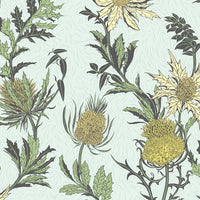 Cole & Son Botanical Thistle 115/14042