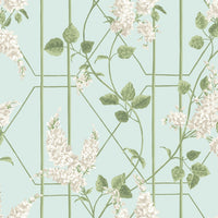 Cole & Son Botanical Wisteria 115/5014