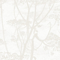 Cole &amp; Son Contemporary Collection Cow Parsley 95/9052