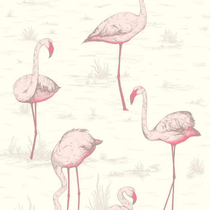 Cole & Son Contemporary Collection Flamingos 95/8045 Behang