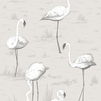 Cole &amp; Son Contemporary Collection Flamingos 95/8046