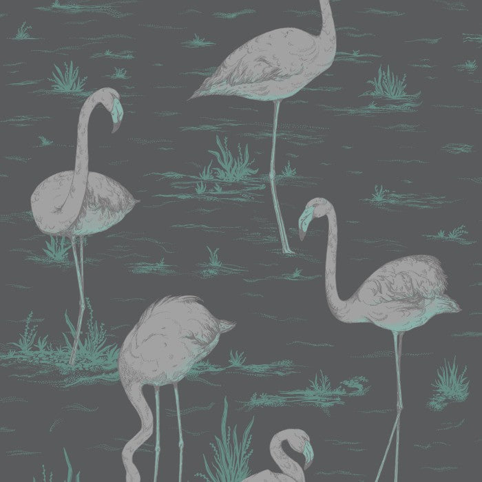 Cole & Son Contemporary Collection Flamingos 95/8048 Behang
