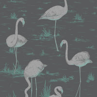 Cole &amp; Son Contemporary Collection Flamingos 95/8048