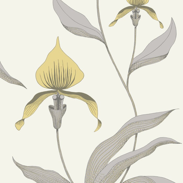 Cole & Son Contemporary Collection Orchid 95/10057