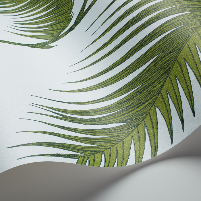 Cole & Son Contemporary Collection Palm Leaves 66/2010 Behang