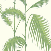 Cole & Son Contemporary Collection Palm Leaves 95/1009
