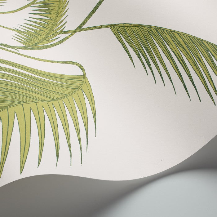 Cole & Son Contemporary Collection Palm Leaves 95/1009 Behang