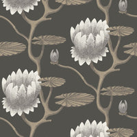 Cole & Son Contemporary Collection Summer Lily 95/4026
