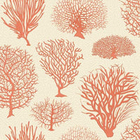 Cole &amp; Son Curio Seafern 107/2011