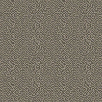 Cole &amp; Son Curio Vermicelli 107/4017