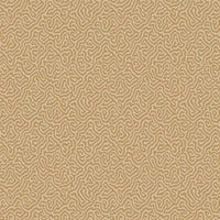 Cole &amp; Son Curio Vermicelli 107/4021