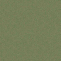 Cole &amp; Son Curio Vermicelli 107/4022