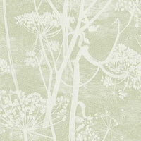 Cole &amp; Son Icons Cow Parsley 112/8029