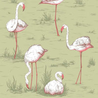Cole & Son Icons Flamingos 112/11038