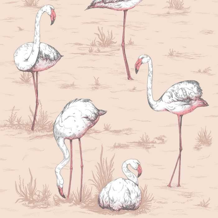 Cole & Son Icons Flamingos 112/11039 Behang