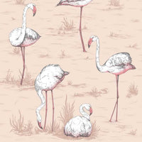 Cole & Son Icons Flamingos 112/11039