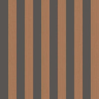 Cole &amp; Son Marquee Stripes Regatta Stripe 110/3017