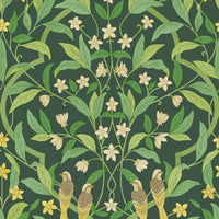 Cole & Son Seville Jasmine & Serin Symphony 117/10029