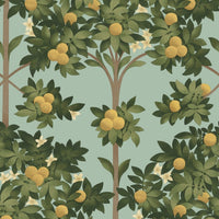 Cole &amp; Son Seville Orange Blossom 117/1002