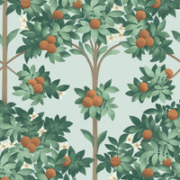Cole &amp; Son Seville Orange Blossom 117/1004