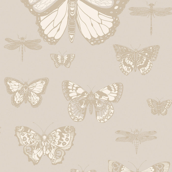Cole & Son Whimsical Butterflies & Dragonflies 103/15064