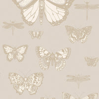 Cole & Son Whimsical Butterflies & Dragonflies 103/15064
