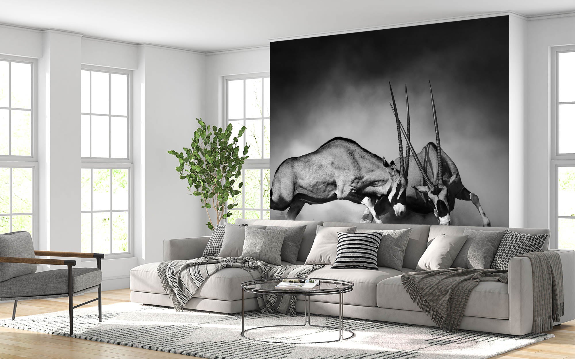 Duellerende gemsbokken  - LW00218 Fotobehang