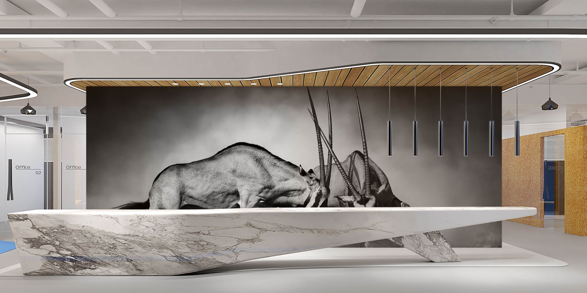 Duellerende gemsbokken  - LW00218 Fotobehang