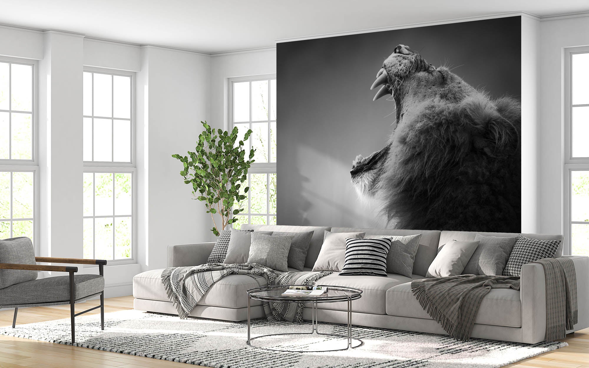 Een geeuwende leeuw - LW00210 Fotobehang