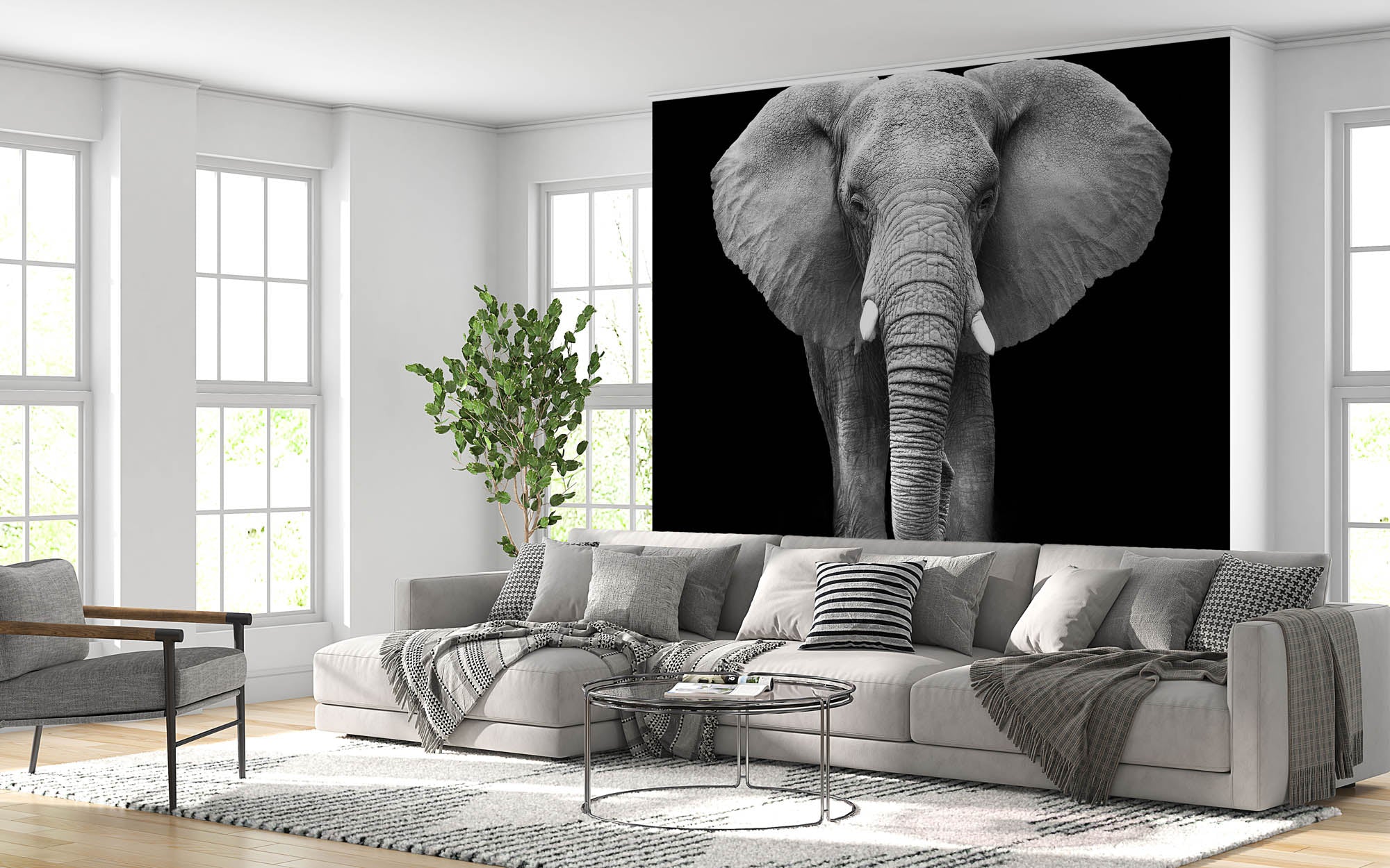 Een olifant verlicht op zwarte achtergrond- LW00211 Fotobehang
