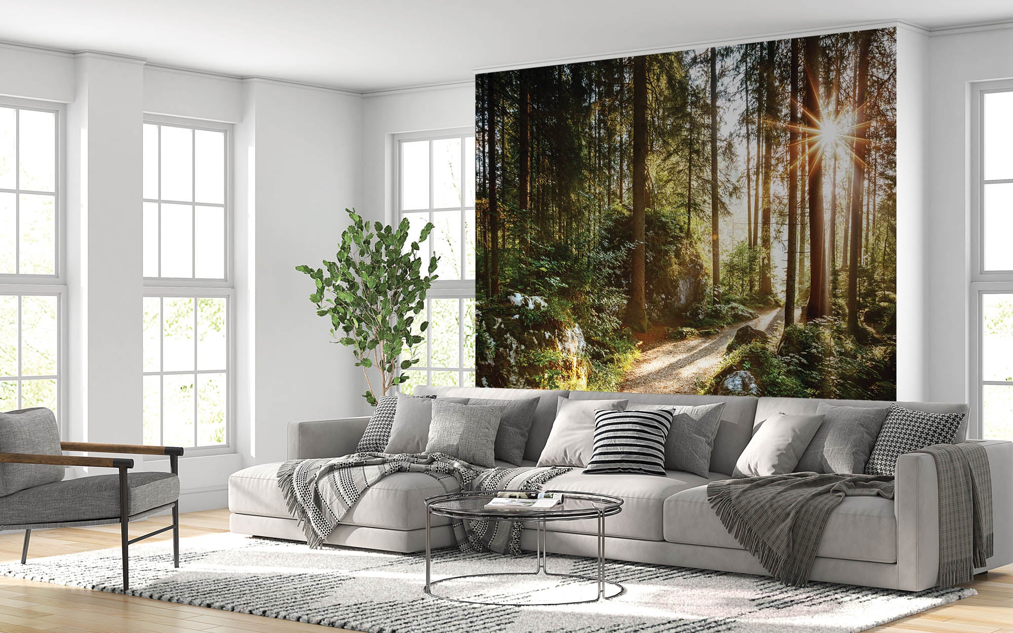 Een pad door groen bos met zonnestralen - LW00271 Fotobehang