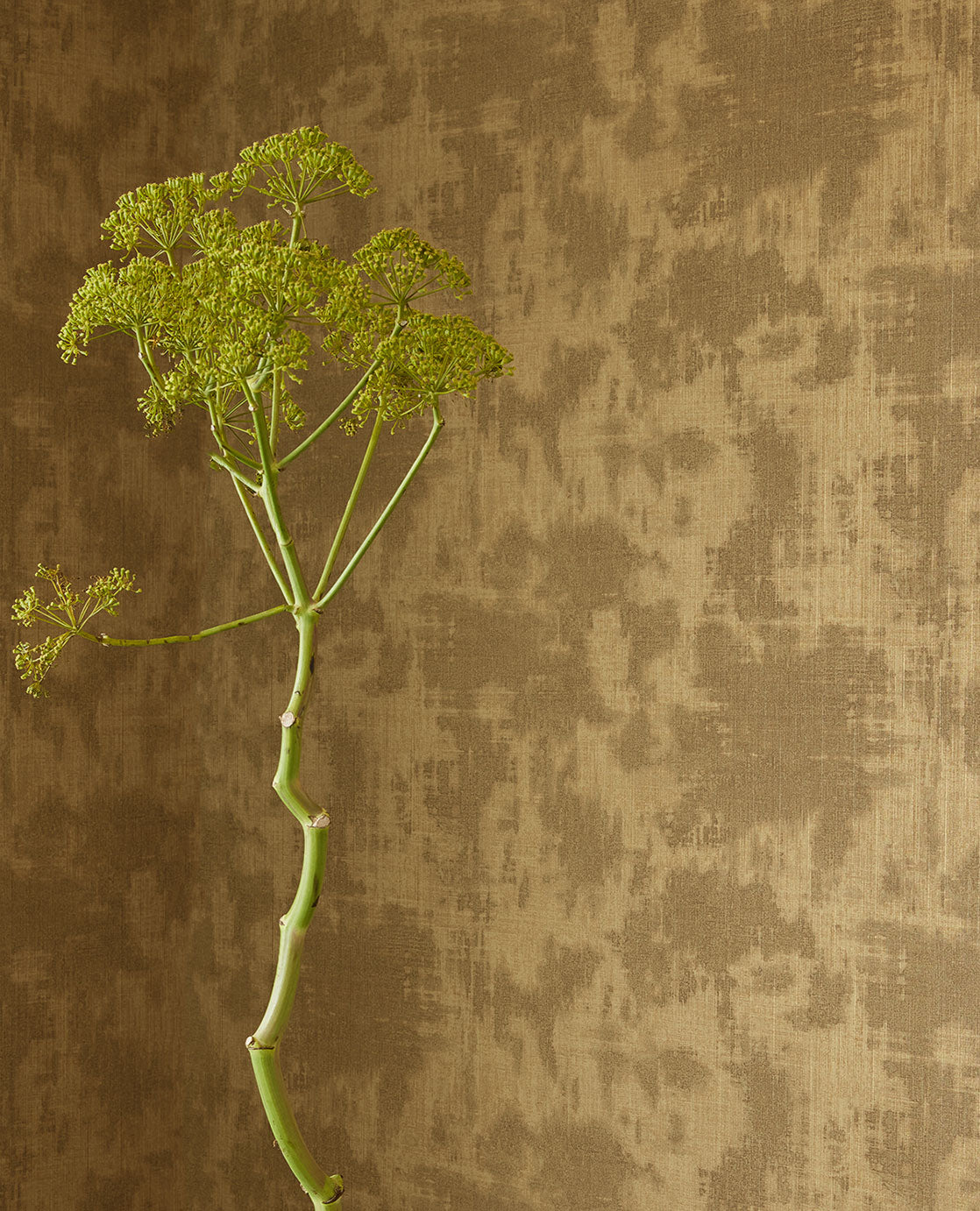 Eijffinger Canvas 313525 Behang