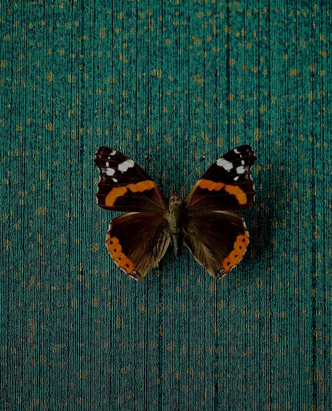 Eijffinger Museum 307351 Behang