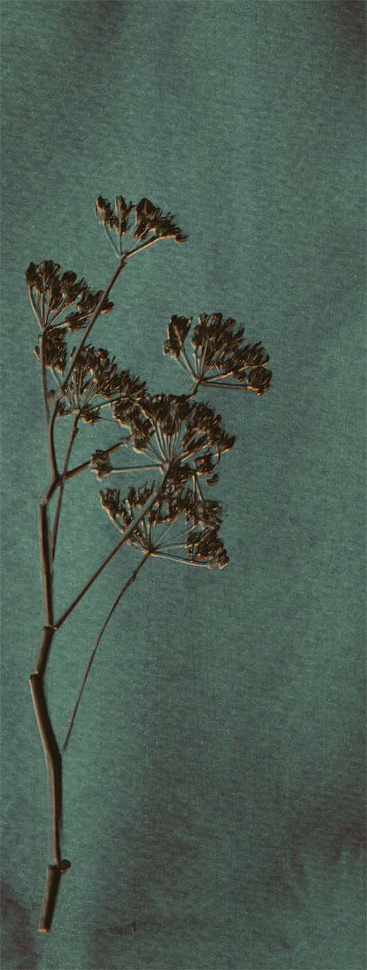 Eijffinger Wallpower Favourites 309024 Behang