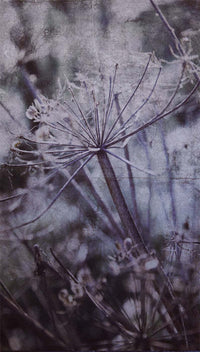 Eijffinger Wallpower Favorites 309026