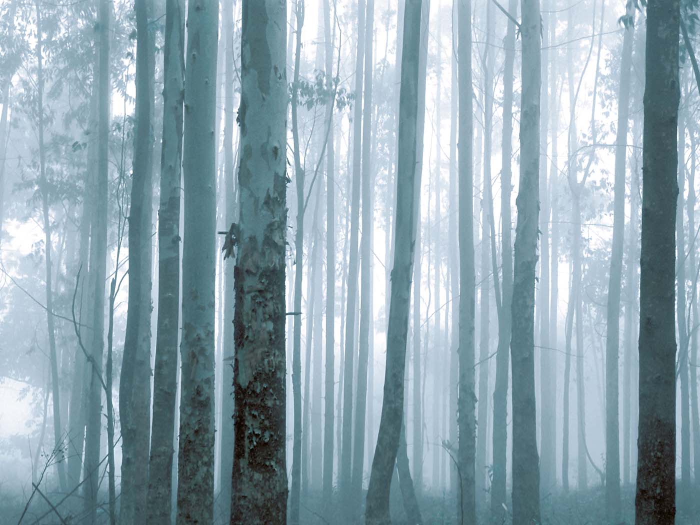 Eijffinger Wallpower Favorites 309144